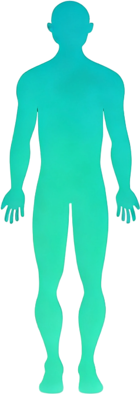 体质识别大模型